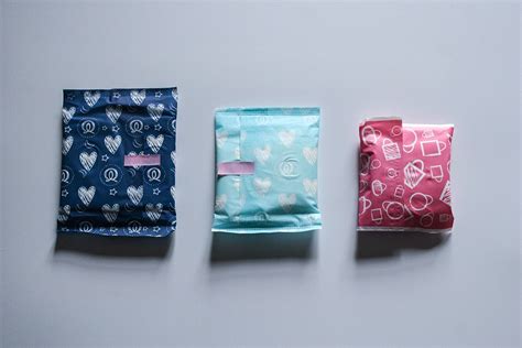 The Secret History of Menstruation .